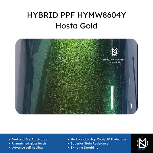 Hybrid PPF HYMW8604Y Hosta Gold